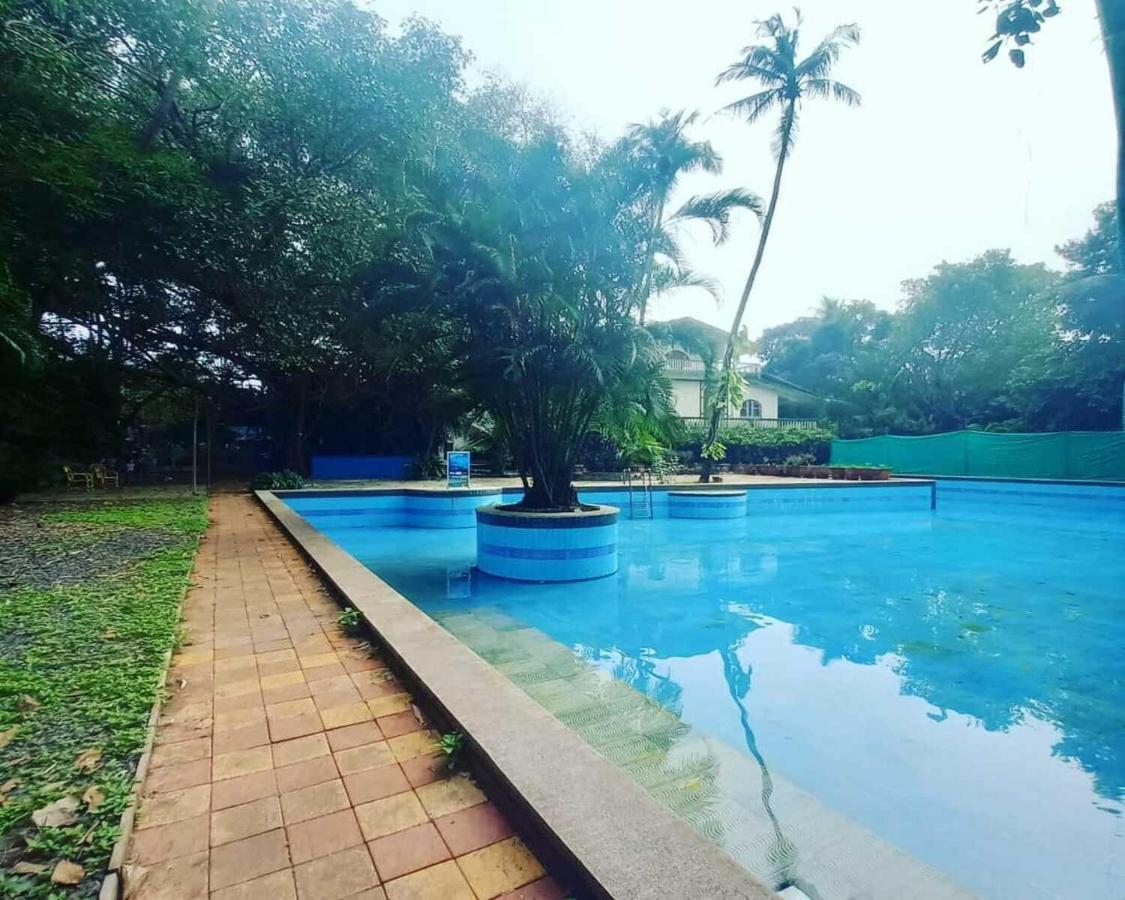 Piggy Calangute By Urban Nomads - Dorms & Pvt Rooms GOA Ngoại thất bức ảnh